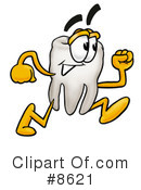 Tooth Clipart #8621 by Mascot Junction