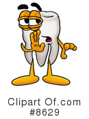 Tooth Clipart #8629 by Mascot Junction