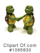 Tortoise Clipart #1065830 by KJ Pargeter