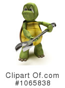 Tortoise Clipart #1065838 by KJ Pargeter