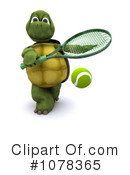 Tortoise Clipart #1078365 by KJ Pargeter