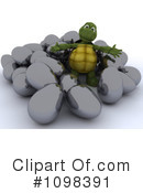 Tortoise Clipart #1098391 by KJ Pargeter