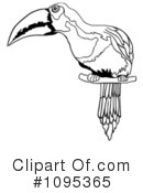 Toucan Clipart #1095365 by dero
