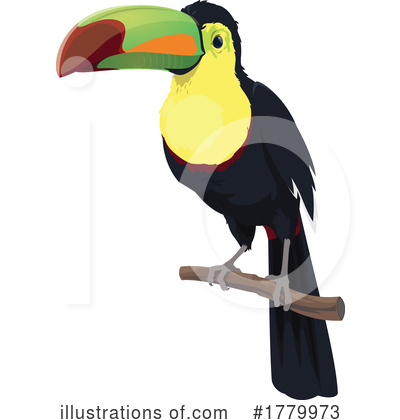 Toucan Clipart #1779973 by Vector Tradition SM