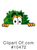 Tree Clipart #10472 by Mascot Junction