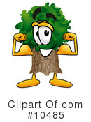 Tree Clipart #10485 by Mascot Junction