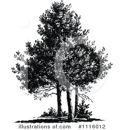 Royalty-Free (RF) Tree Clipart Illustration by Prawny Vintage - Stock Sample #1116012