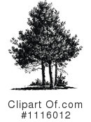 Tree Clipart #1116012 by Prawny Vintage