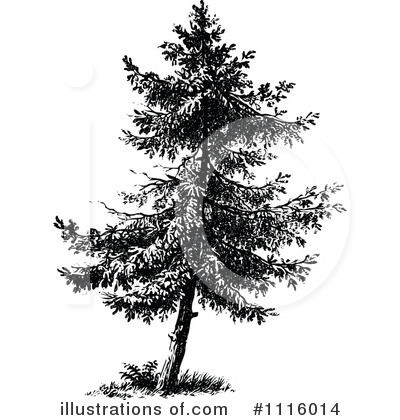 Royalty-Free (RF) Tree Clipart Illustration by Prawny Vintage - Stock Sample #1116014