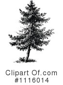 Tree Clipart #1116014 by Prawny Vintage