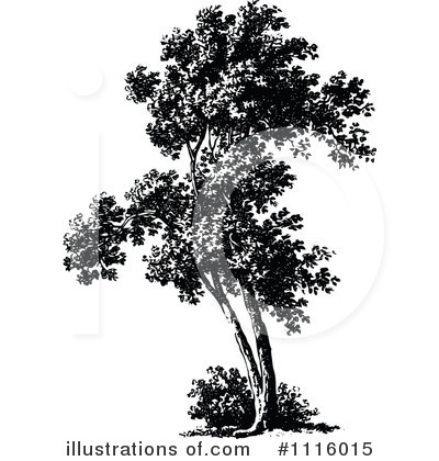 Royalty-Free (RF) Tree Clipart Illustration by Prawny Vintage - Stock Sample #1116015