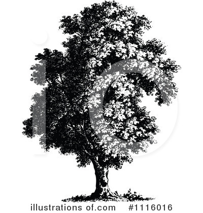 Royalty-Free (RF) Tree Clipart Illustration by Prawny Vintage - Stock Sample #1116016