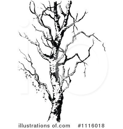 Royalty-Free (RF) Tree Clipart Illustration by Prawny Vintage - Stock Sample #1116018