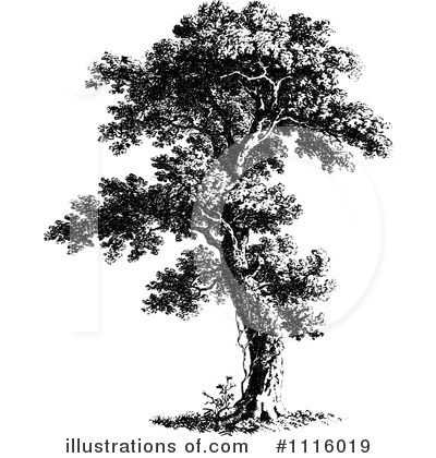 Royalty-Free (RF) Tree Clipart Illustration by Prawny Vintage - Stock Sample #1116019