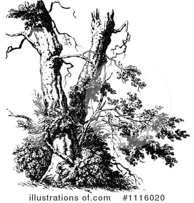 Royalty-Free (RF) Tree Clipart Illustration by Prawny Vintage - Stock Sample #1116020