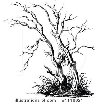 Royalty-Free (RF) Tree Clipart Illustration by Prawny Vintage - Stock Sample #1116021