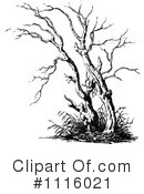 Tree Clipart #1116021 by Prawny Vintage