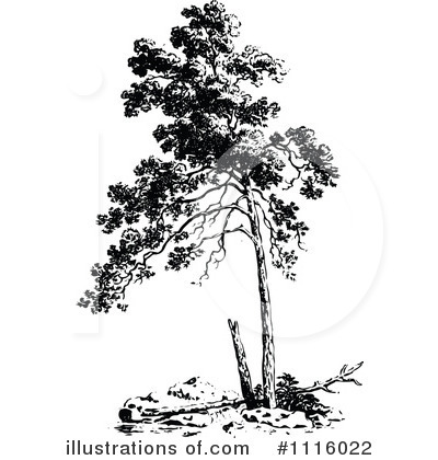 Royalty-Free (RF) Tree Clipart Illustration by Prawny Vintage - Stock Sample #1116022