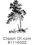 Tree Clipart #1116022 by Prawny Vintage