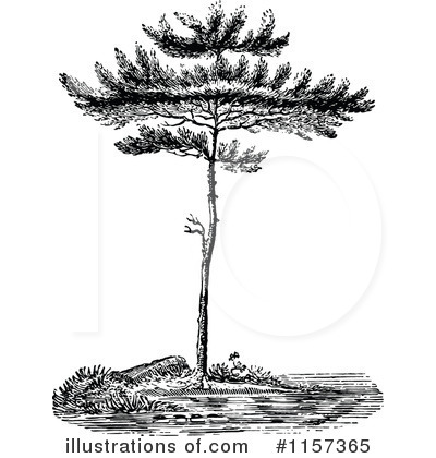 Royalty-Free (RF) Tree Clipart Illustration by Prawny Vintage - Stock Sample #1157365