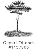 Tree Clipart #1157365 by Prawny Vintage