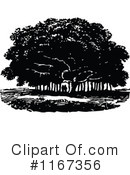 Tree Clipart #1167356 by Prawny Vintage