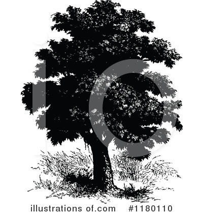 Royalty-Free (RF) Tree Clipart Illustration by Prawny Vintage - Stock Sample #1180110