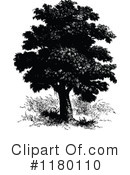 Tree Clipart #1180110 by Prawny Vintage