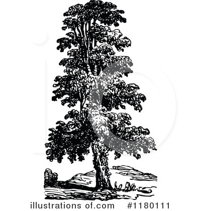 Royalty-Free (RF) Tree Clipart Illustration by Prawny Vintage - Stock Sample #1180111