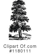 Tree Clipart #1180111 by Prawny Vintage