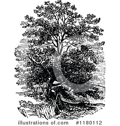 Royalty-Free (RF) Tree Clipart Illustration by Prawny Vintage - Stock Sample #1180112