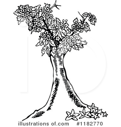 Royalty-Free (RF) Tree Clipart Illustration by Prawny - Stock Sample #1182770