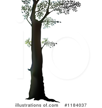Royalty-Free (RF) Tree Clipart Illustration by dero - Stock Sample #1184037
