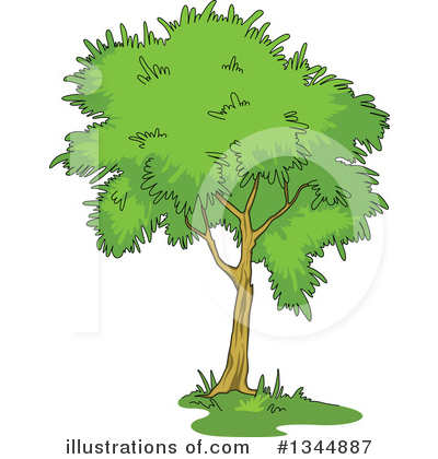 Royalty-Free (RF) Tree Clipart Illustration by Vector Tradition SM - Stock Sample #1344887