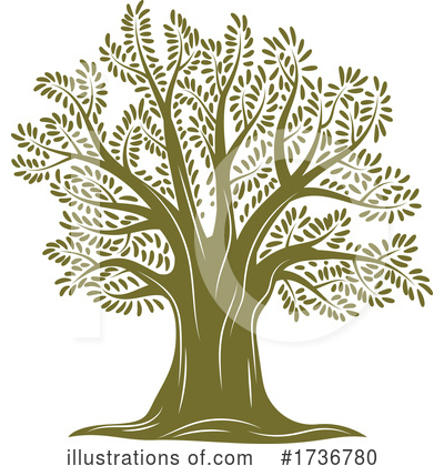 Olive Tree Clipart #1736780 by Vector Tradition SM