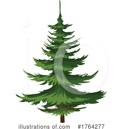 Evergreen Clipart #1764277 by Vector Tradition SM