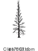 Tree Clipart #1786316 by KJ Pargeter