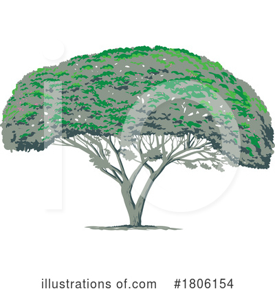 Royalty-Free (RF) Tree Clipart Illustration by patrimonio - Stock Sample #1806154