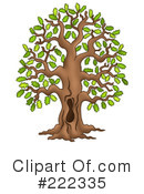 Tree Clipart #222335 by visekart