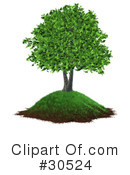Tree Clipart #30524 by Frog974