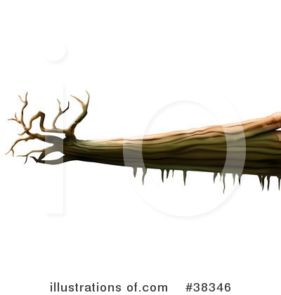 Royalty-Free (RF) Tree Clipart Illustration by dero - Stock Sample #38346