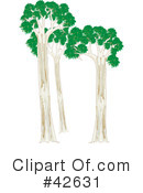 Tree Clipart #42631 by Dennis Holmes Designs