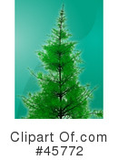 Tree Clipart #45772 by Kheng Guan Toh