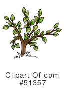 Tree Clipart #51357 by dero