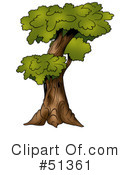 Tree Clipart #51361 by dero