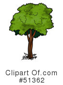 Tree Clipart #51362 by dero