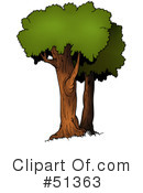 Tree Clipart #51363 by dero
