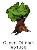 Tree Clipart #51366 by dero
