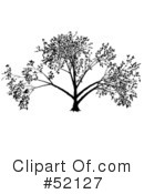 Tree Clipart #52127 by dero