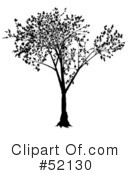 Tree Clipart #52130 by dero